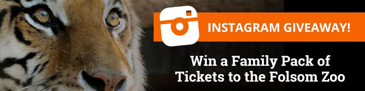 Folsom Zoo Family Pack of Tickets Giveaway