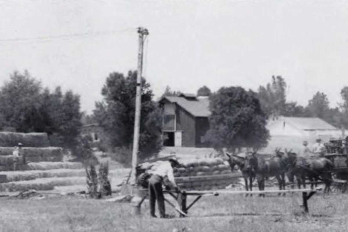 A historical photograph of the Folsom Prison farm circa 1920. The image depicts several men working with stacks of hay bales, some positioned on top of the hay piles while others work at ground level. A horse-drawn wagon is visible on the right, loaded with bales and attended by workers. The background features trees, a barn, and additional farm structures, creating a rural, industrious scene within the prison grounds.